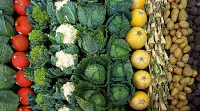 Verschiedene Obst- und Gemüsesorten werden in einer Reihe angeordnet und ergeben so ein optisch ansprechendes Herbstgericht.