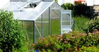 Ein Gewächshaus mitten im Garten.