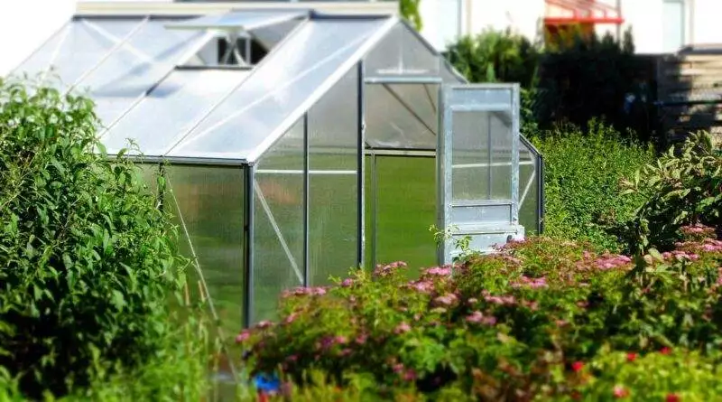 Ein Gewächshaus mitten im Garten.